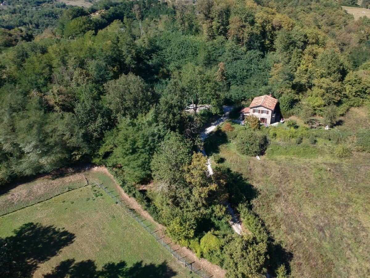 Agriturismo Il Corniolo Кастилионе ди Гарфаняна Екстериор снимка